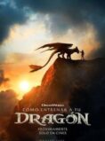 COMO ENTRENAR A TU DRAGON